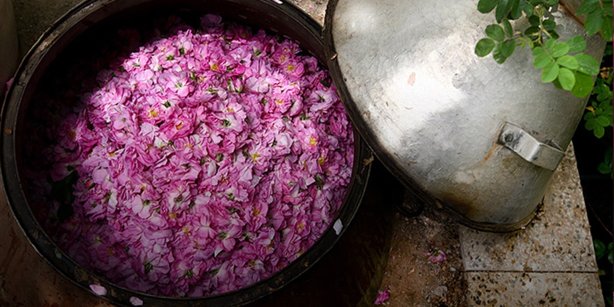 traditional rosary style in kashan rosewater festival