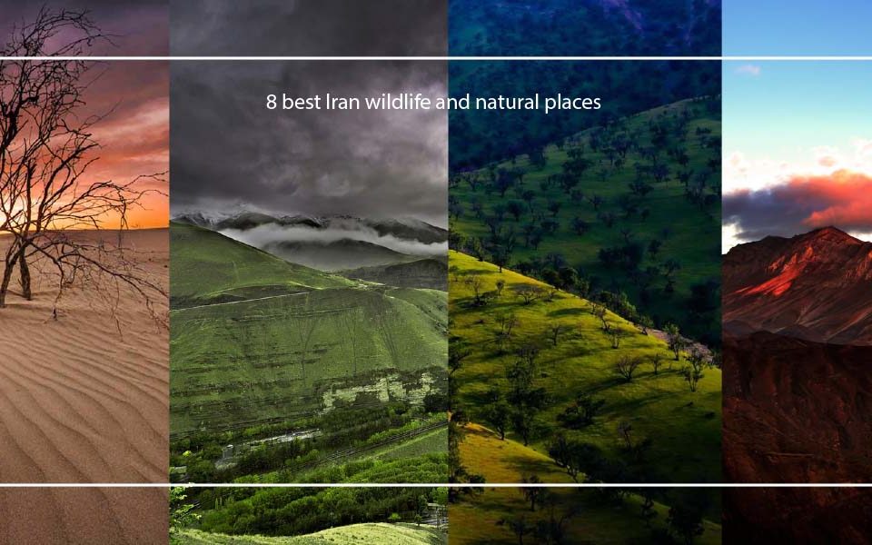 8 best Iran wildlife and natural places