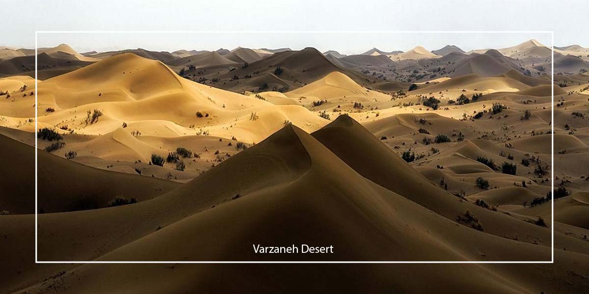 Varzaneh Desert