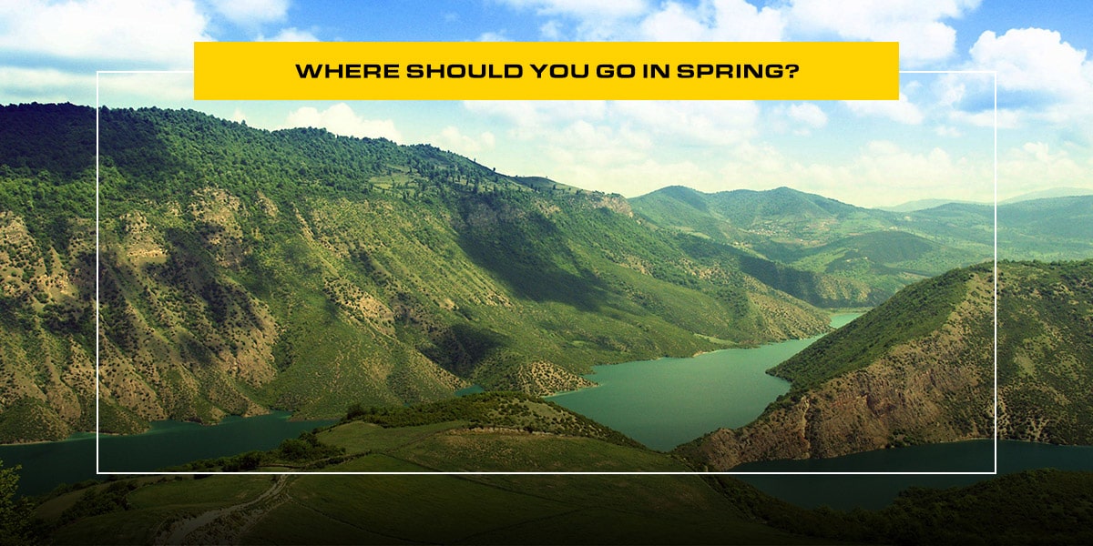 Where Should You Go in Spring?