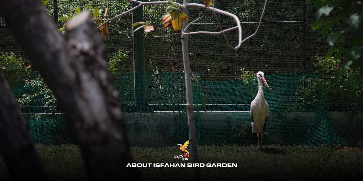 About Isfahan Bird garden