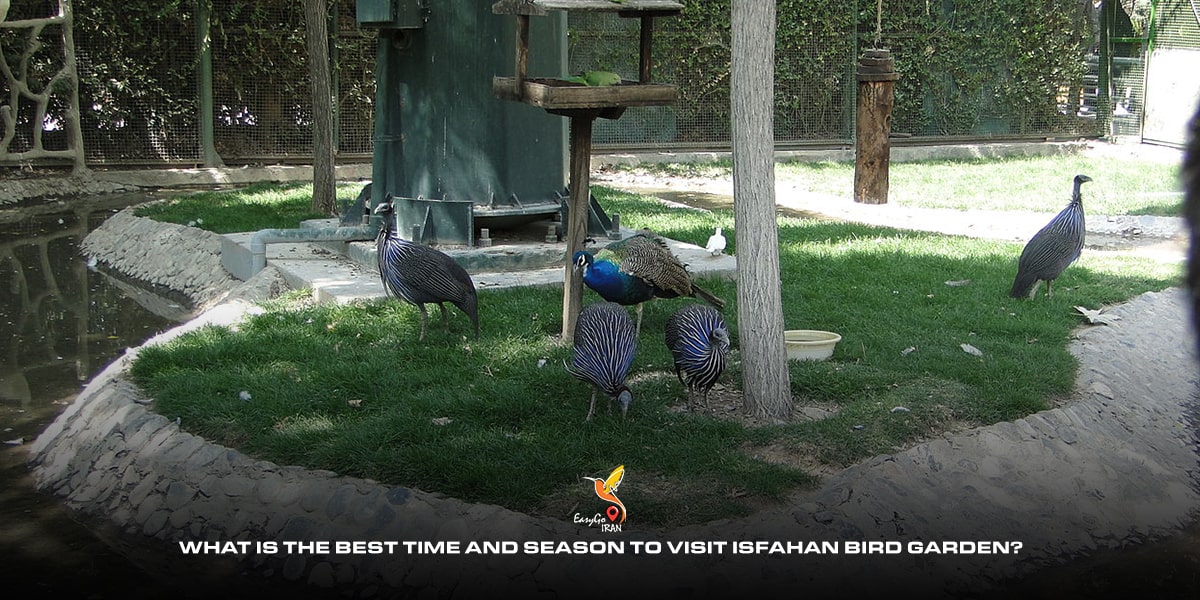 What is the best time and season to visit Isfahan bird garden?