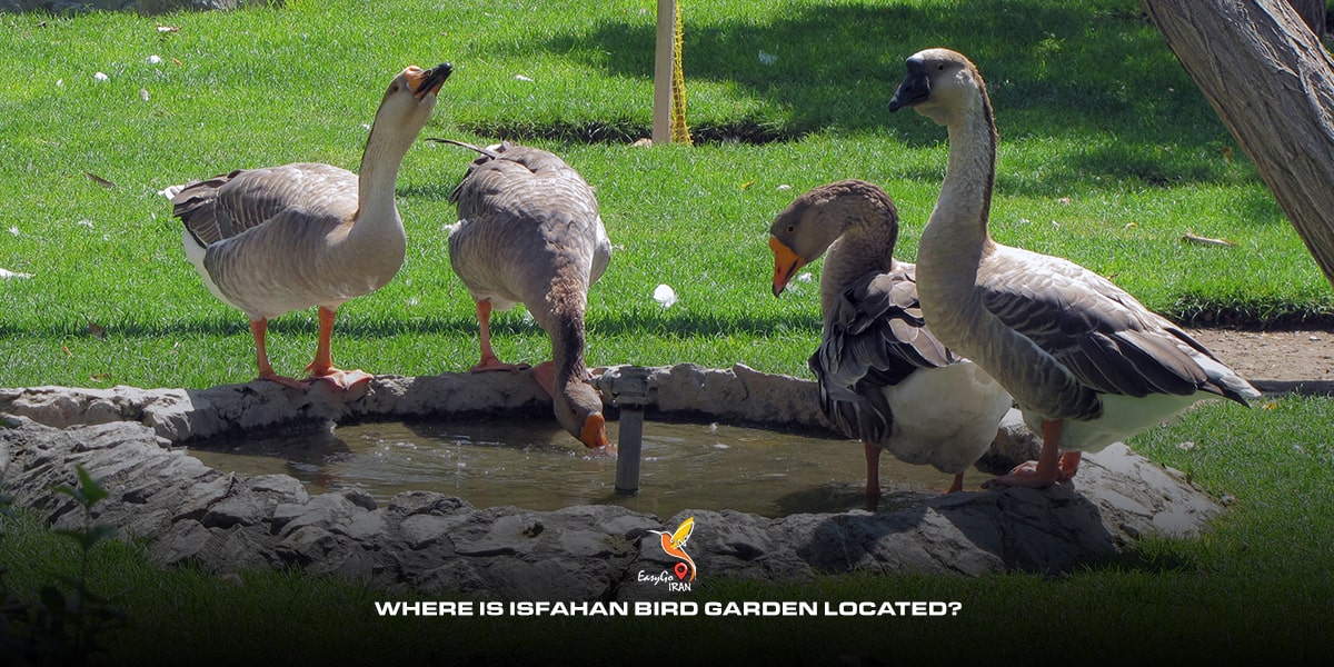 Where is Isfahan Bird garden located?