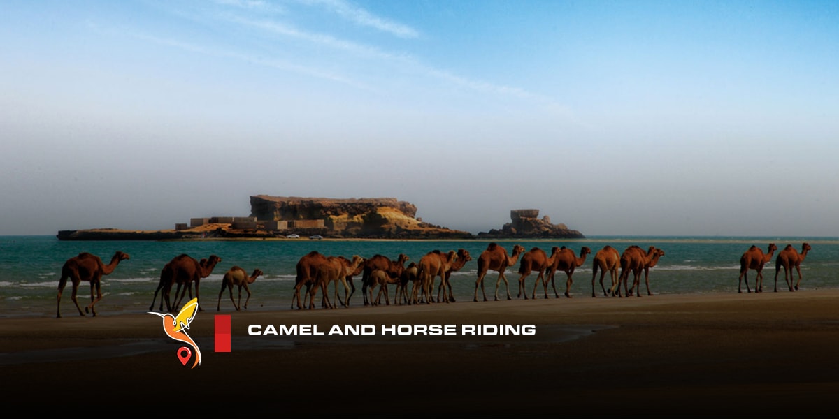 Camel and horse riding in naaz island