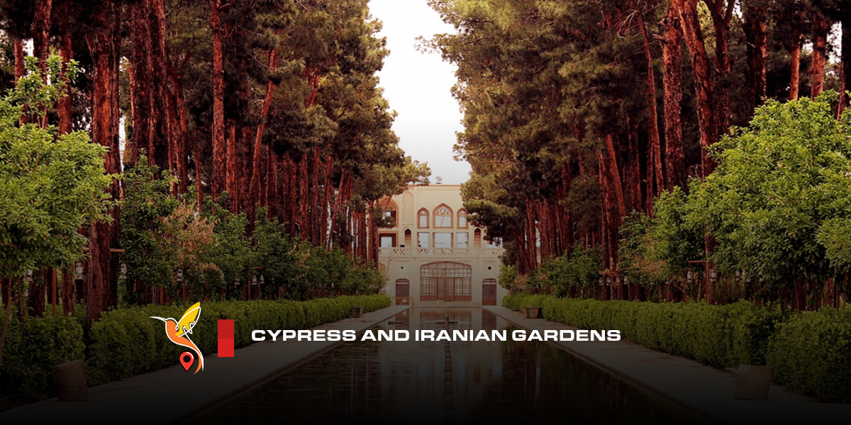 Cypress-and-Iranian-gardens