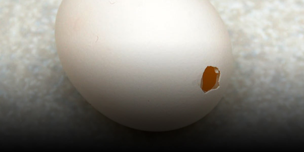 4. Be careful to not break the eggs 8-min